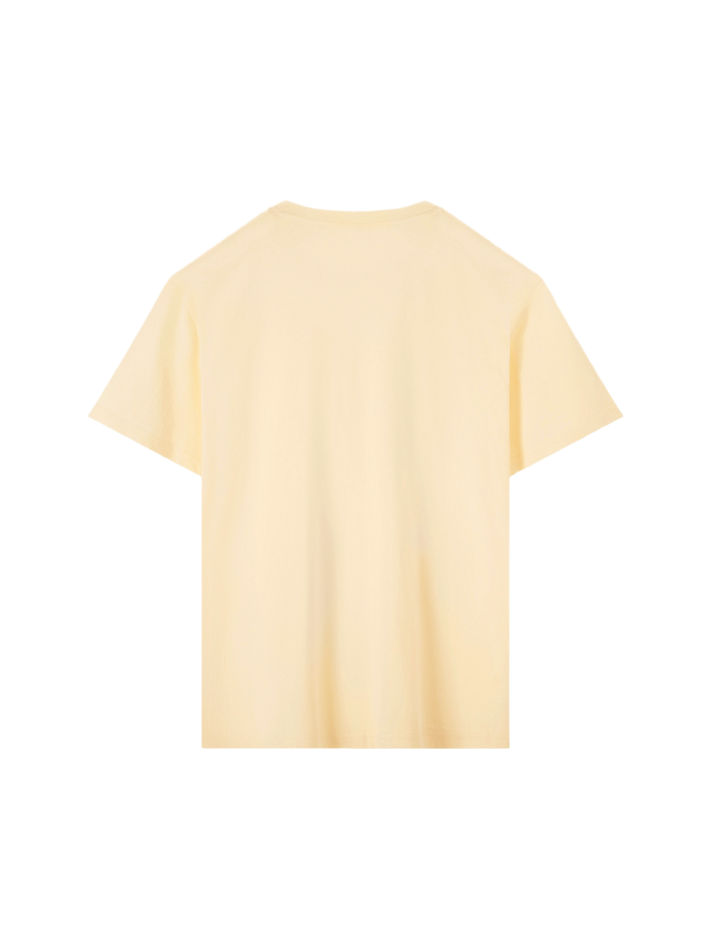 Wardrobe Essential Cotton T-Shirt (16x)
