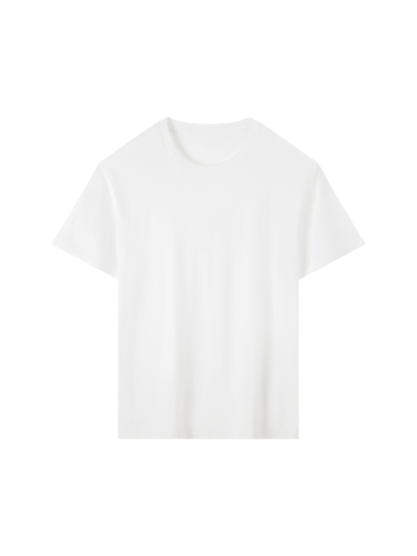 Wardrobe Essential Cotton T-Shirt (16x)