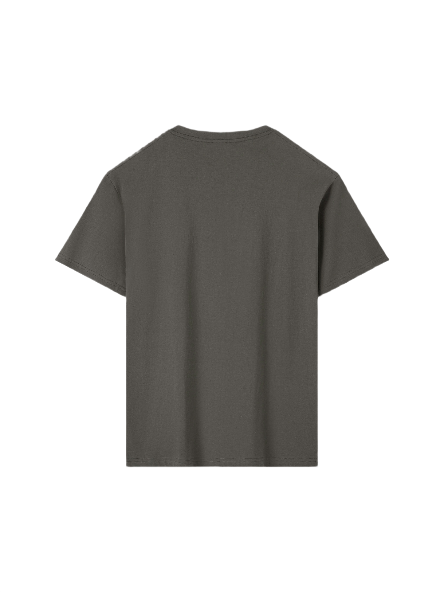 Wardrobe Essential Cotton T-Shirt (16x)