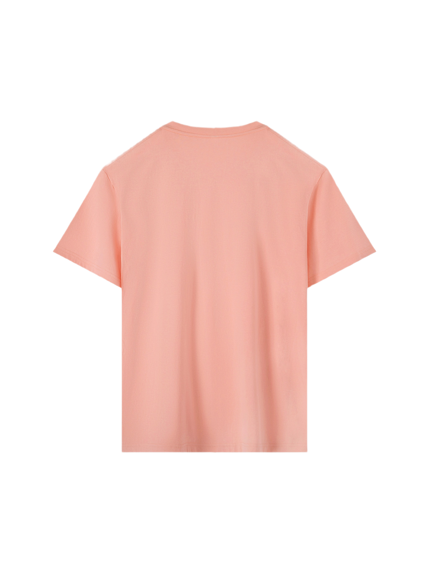 Wardrobe Essential Cotton T-Shirt (16x)